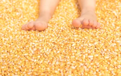 Getting Rid of Those Pesky Corns on Your Feet (no not that corn 🌽)