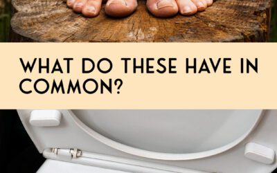 It’s June. So What Do 🦶 Feet & 🚽Toilets Have In Common?